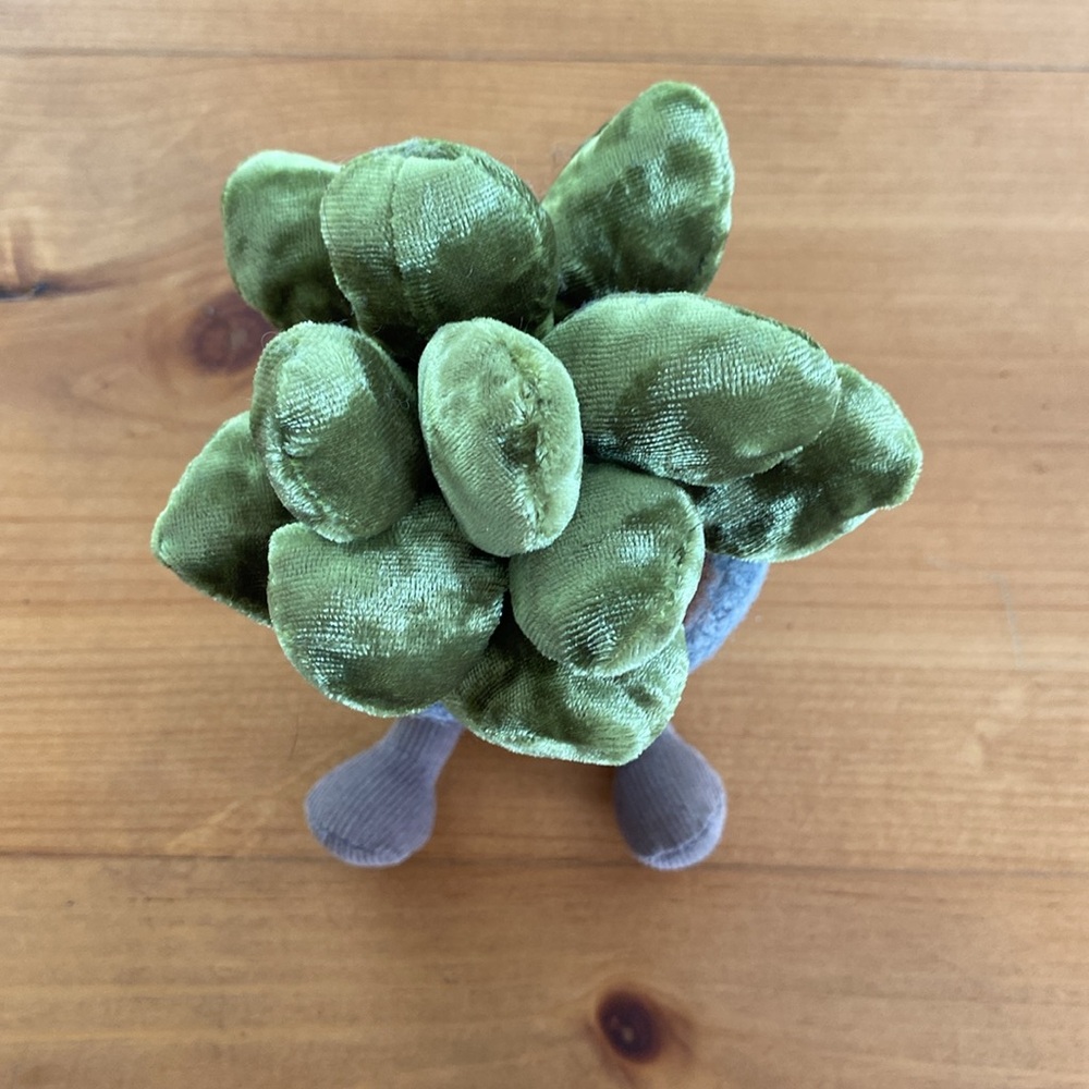 Jellycat Silly Succulent Jade Stuffed Plant Toy - Retired - Picture 6 of 9